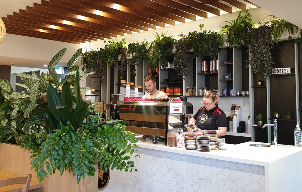 Cafe, Coffee, Cake, Takeaway, Bakery